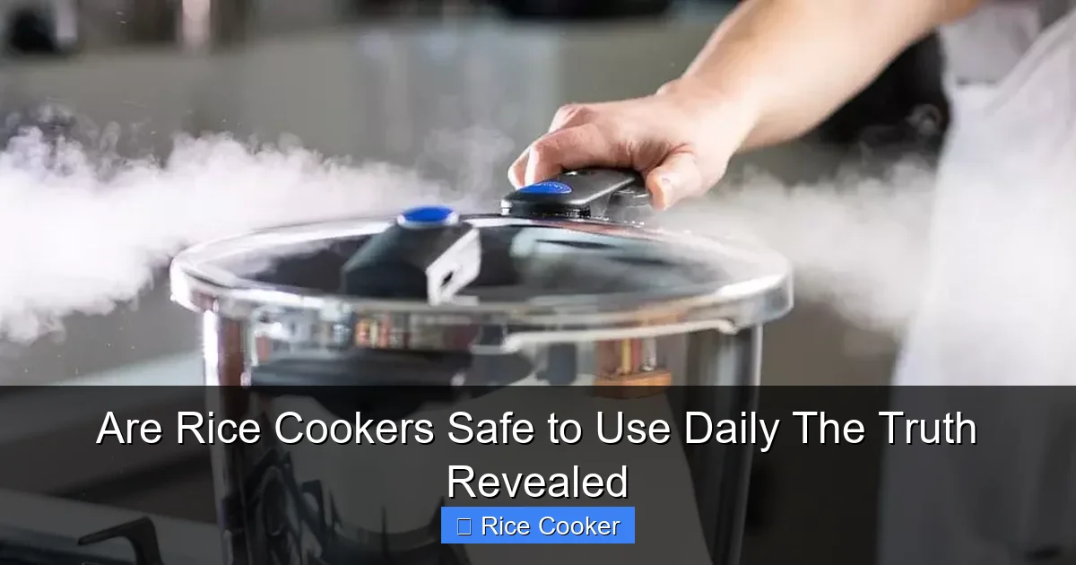 Are Rice Cookers Safe to Use Daily The Truth Revealed