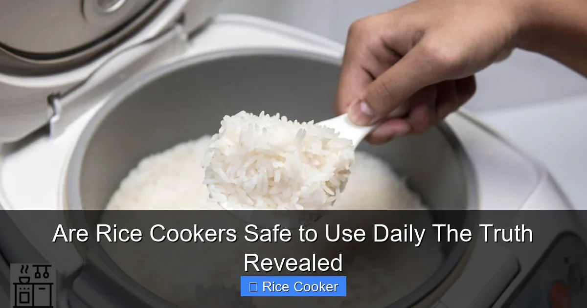 Are Rice Cookers Safe to Use Daily The Truth Revealed