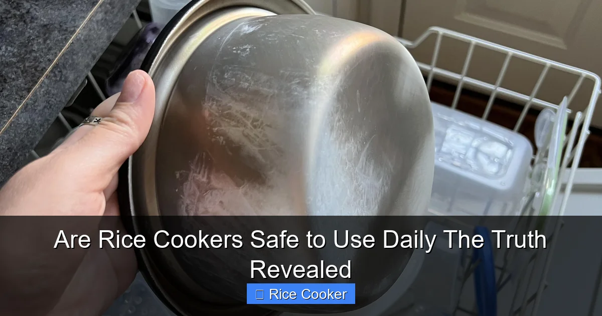 Are Rice Cookers Safe to Use Daily The Truth Revealed