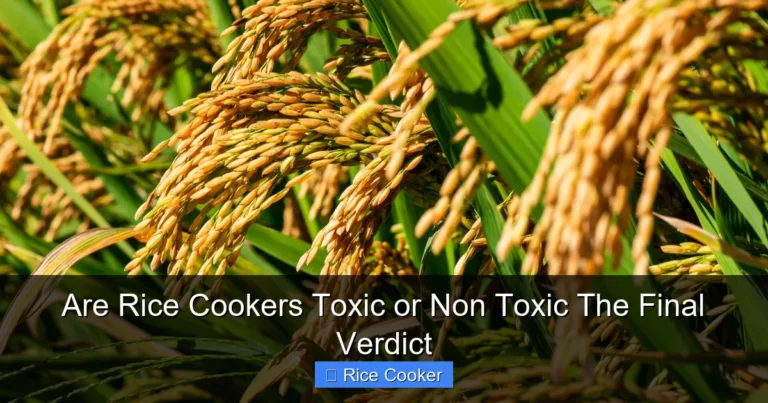 Are Rice Cookers Toxic or Non Toxic The Final Verdict