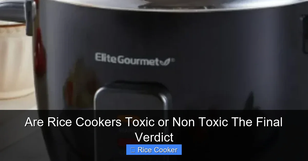 Are Rice Cookers Toxic or Non Toxic The Final Verdict
