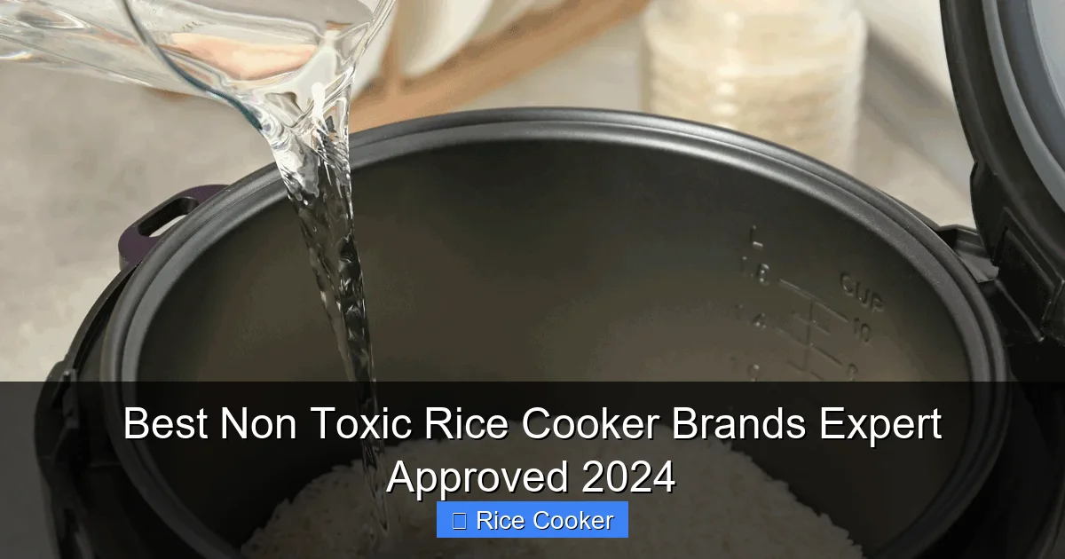 Best Non Toxic Rice Cooker Brands Expert Approved 2024