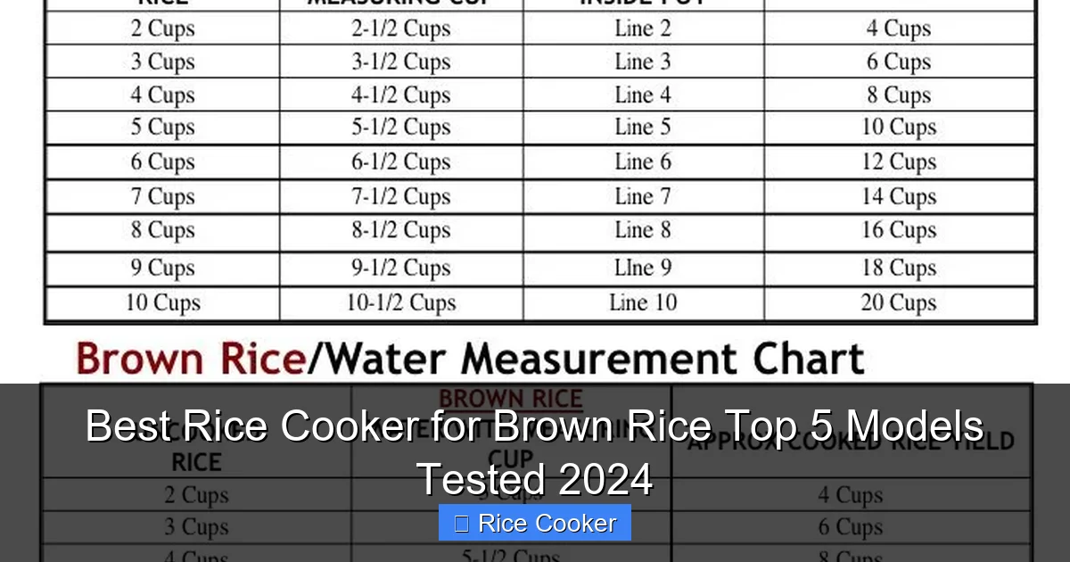 Best Rice Cooker for Brown Rice Top 5 Models Tested 2024