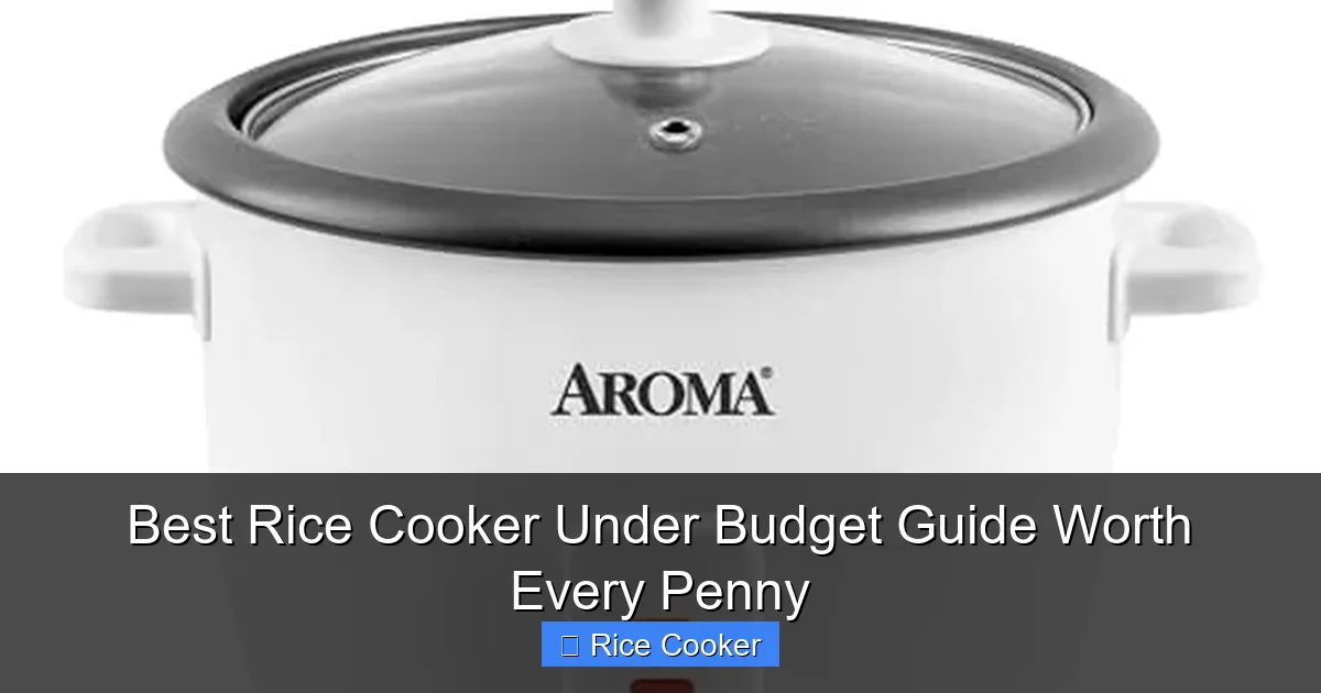 Best Rice Cooker Under Budget Guide Worth Every Penny