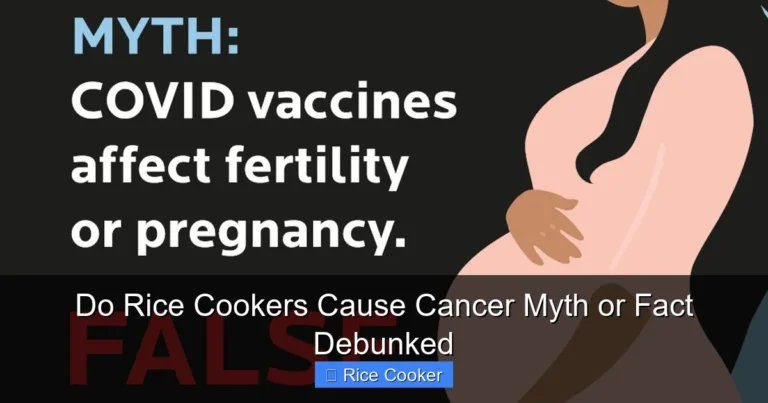 Do Rice Cookers Cause Cancer Myth or Fact Debunked