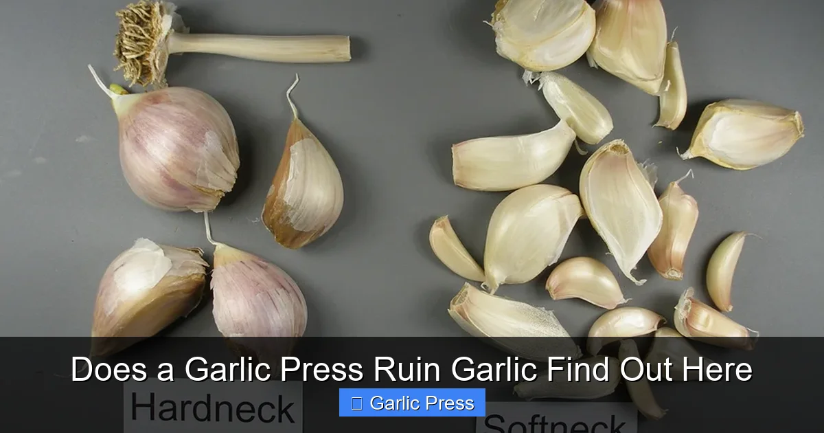 Does a Garlic Press Ruin Garlic Find Out Here