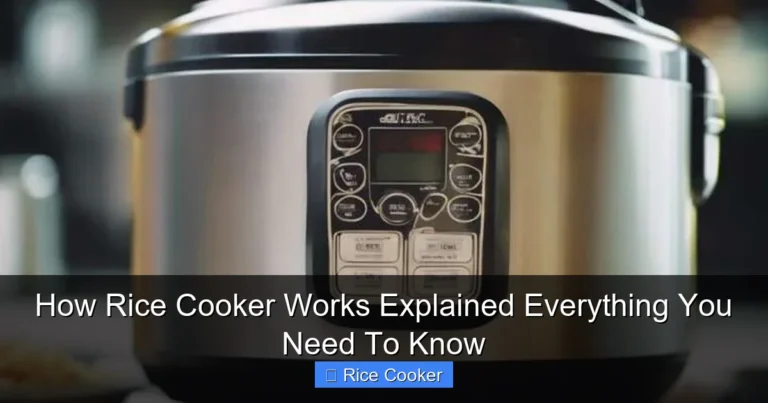 How Rice Cooker Works Explained Everything You Need To Know