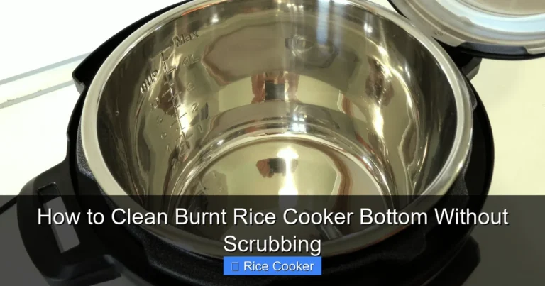 How to Clean Burnt Rice Cooker Bottom Without Scrubbing