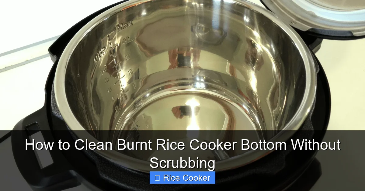 How to Clean Burnt Rice Cooker Bottom Without Scrubbing | RecipesPalette