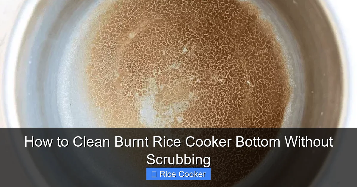 How to Clean Burnt Rice Cooker Bottom Without Scrubbing