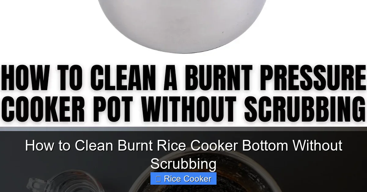 How to Clean Burnt Rice Cooker Bottom Without Scrubbing