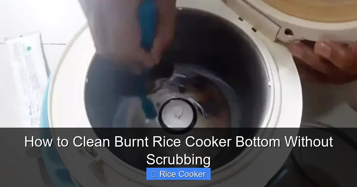 How to Clean Burnt Rice Cooker Bottom Without Scrubbing