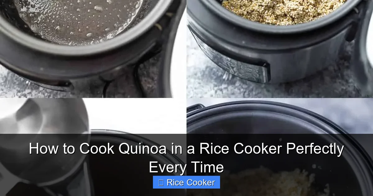 How to Cook Quinoa in a Rice Cooker Perfectly Every Time