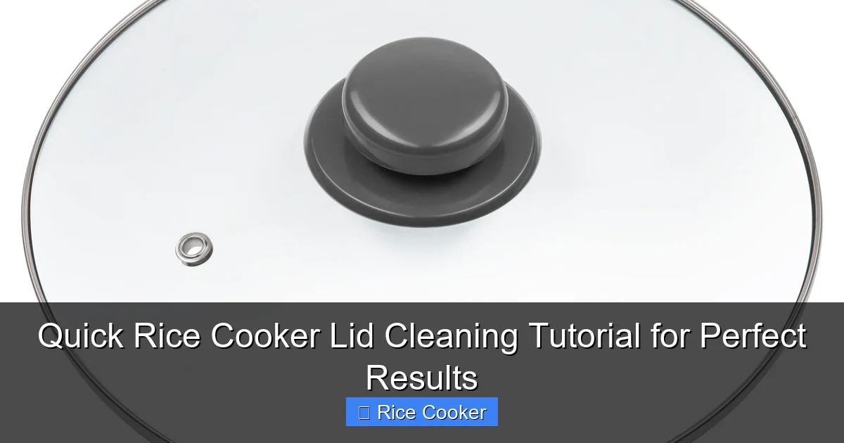 Quick Rice Cooker Lid Cleaning Tutorial for Perfect Results
