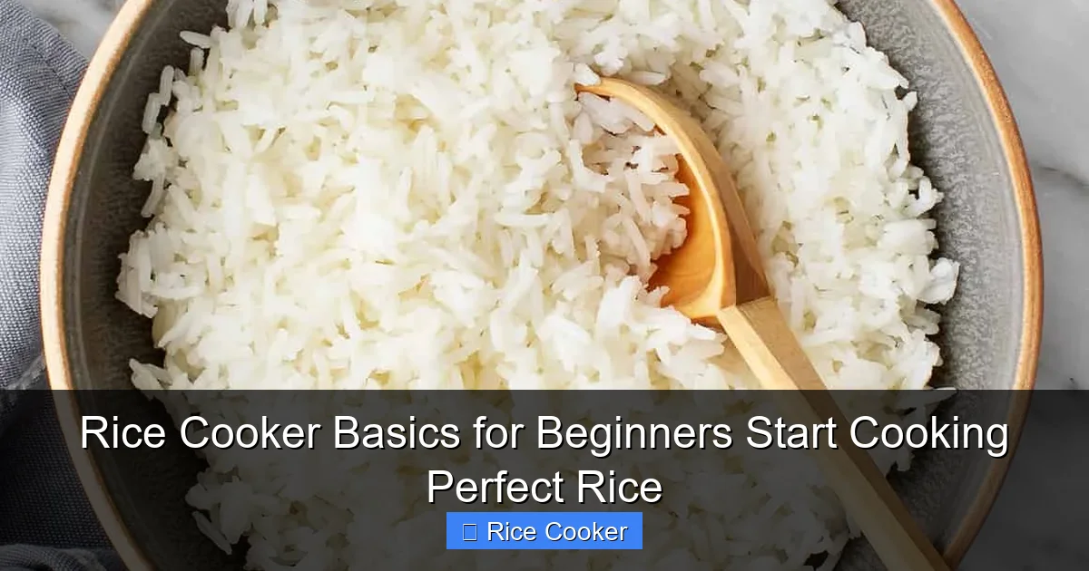 Rice Cooker Basics for Beginners Start Cooking Perfect Rice