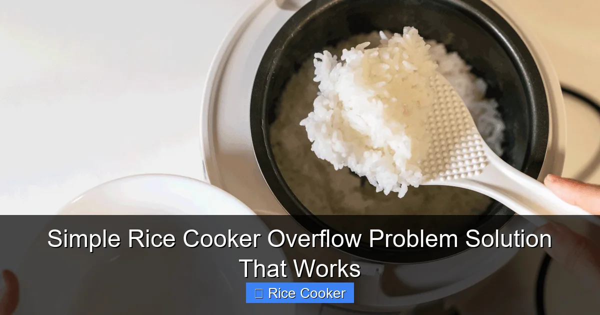 Simple Rice Cooker Overflow Problem Solution That Works