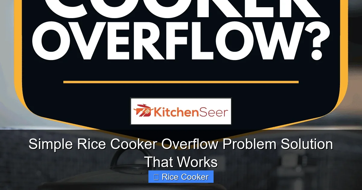 Simple Rice Cooker Overflow Problem Solution That Works