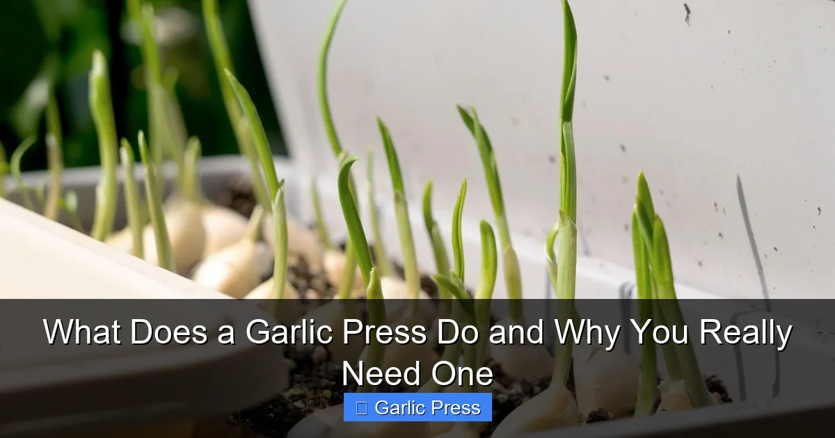 What Does a Garlic Press Do and Why You Really Need One