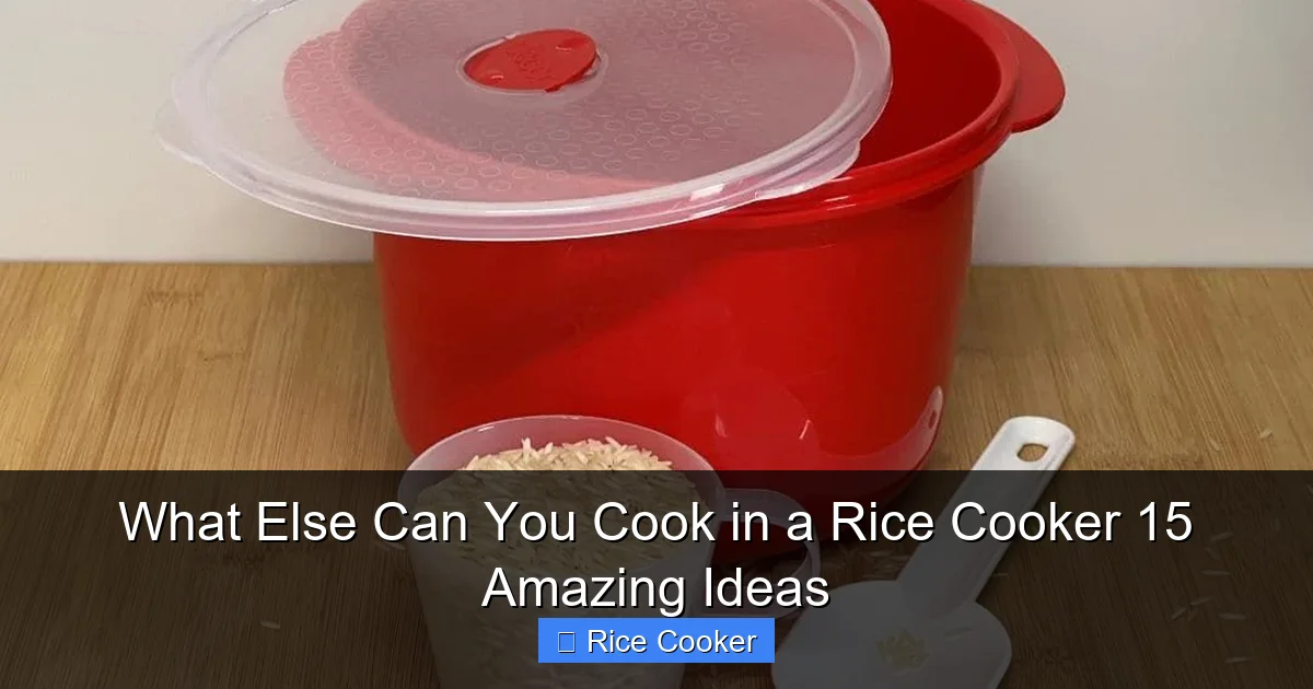 What Else Can You Cook in a Rice Cooker 15 Amazing Ideas