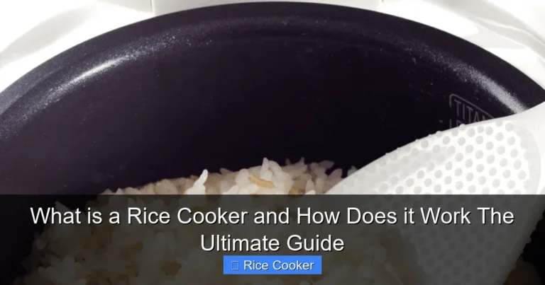 What is a Rice Cooker and How Does it Work The Ultimate Guide