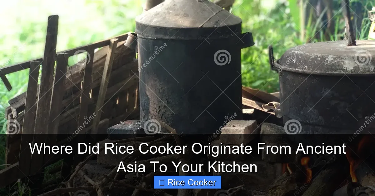 Where Did Rice Cooker Originate From Ancient Asia To Your Kitchen