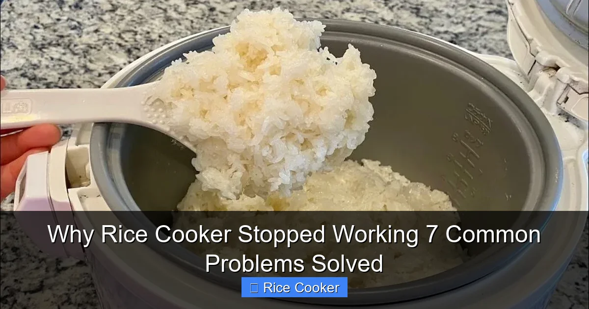 Why Rice Cooker Stopped Working 7 Common Problems Solved
