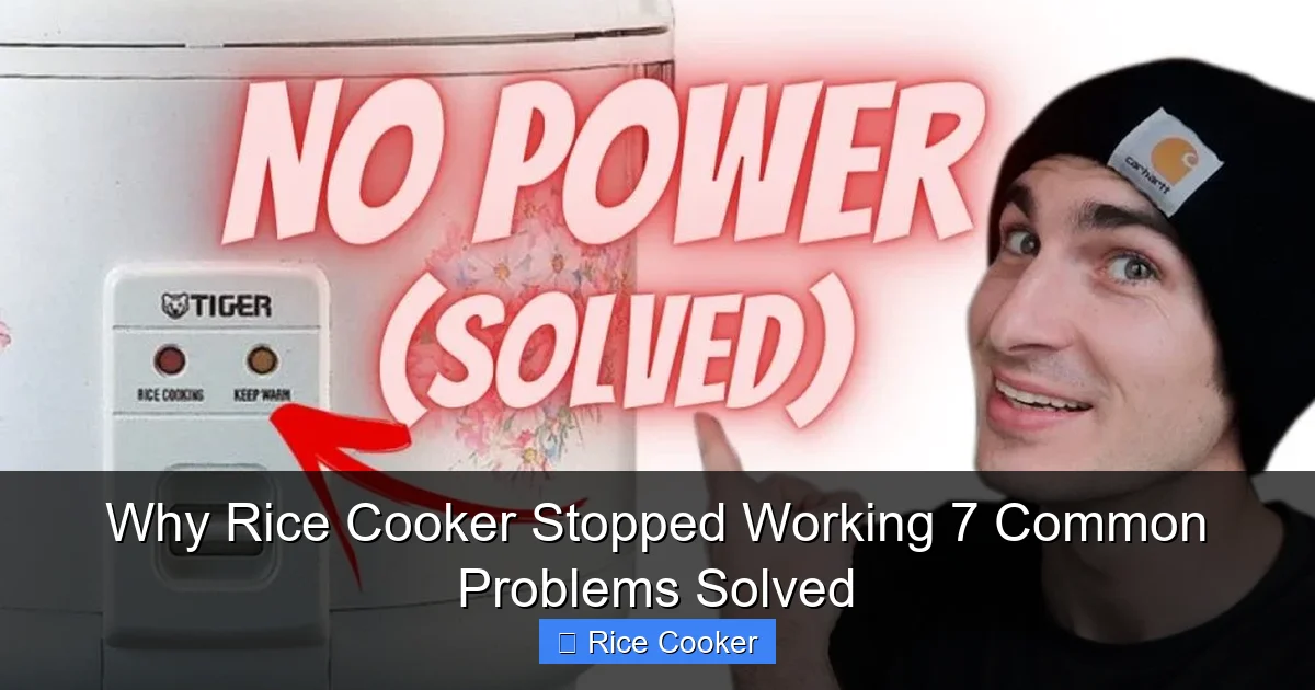 Why Rice Cooker Stopped Working 7 Common Problems Solved