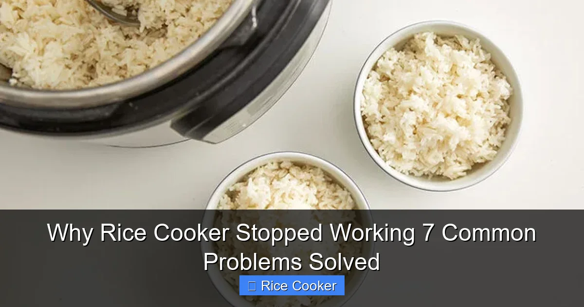 Why Rice Cooker Stopped Working 7 Common Problems Solved