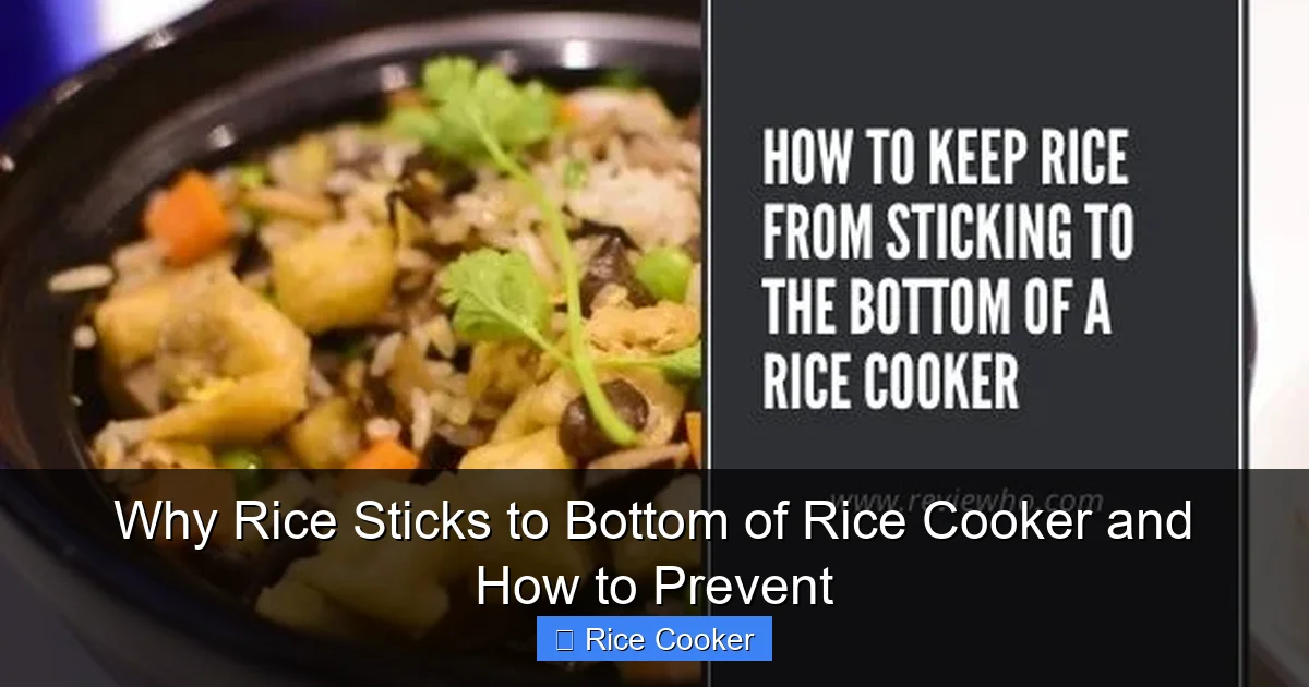 Why Rice Sticks to Bottom of Rice Cooker and How to Prevent