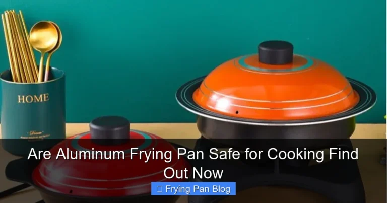Are Aluminum Frying Pan Safe for Cooking Find Out Now
