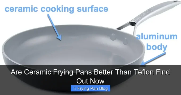 Are Ceramic Frying Pans Better Than Teflon Find Out Now