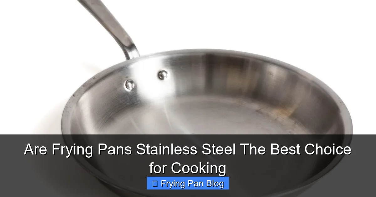 Are Frying Pans Stainless Steel The Best Choice for Cooking