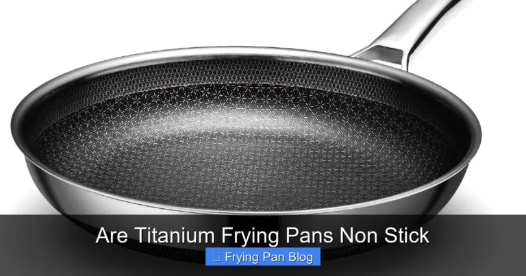 Are Titanium Frying Pans Non Stick