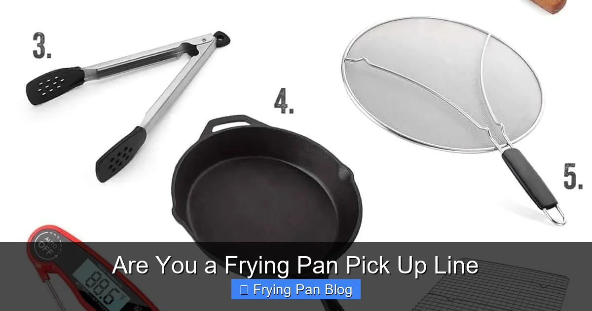 Are You a Frying Pan Pick Up Line