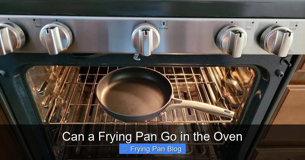 Can a Frying Pan Go in the Oven | RecipesPalette