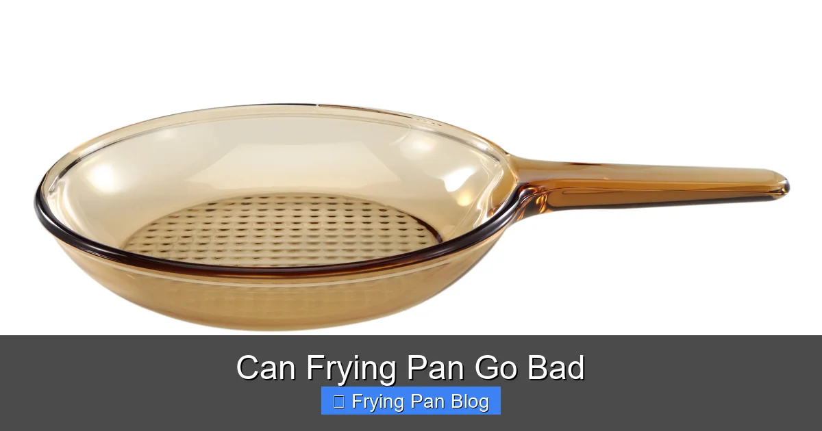 Can Frying Pan Go Bad