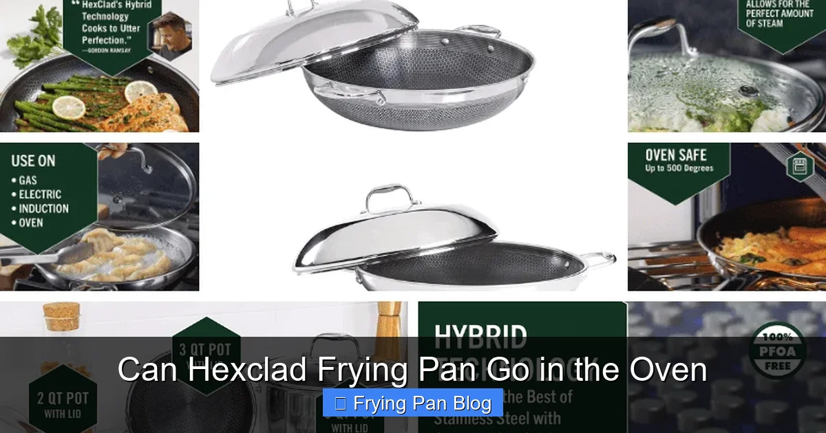 Can Hexclad Frying Pan Go in the Oven