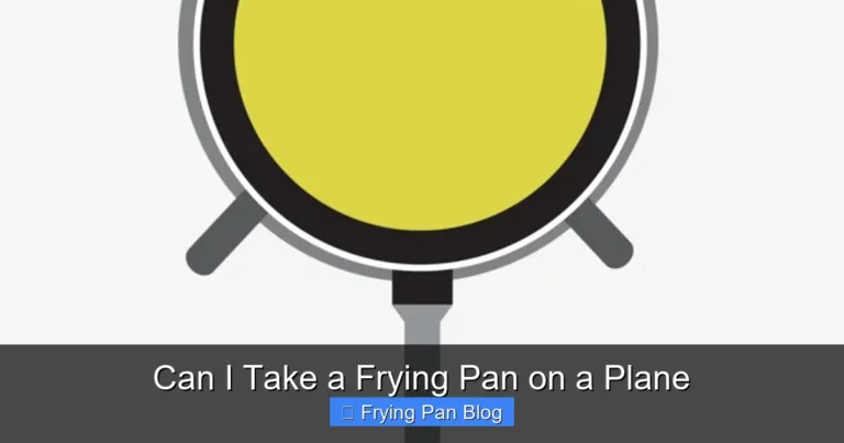 Can I Take a Frying Pan on a Plane