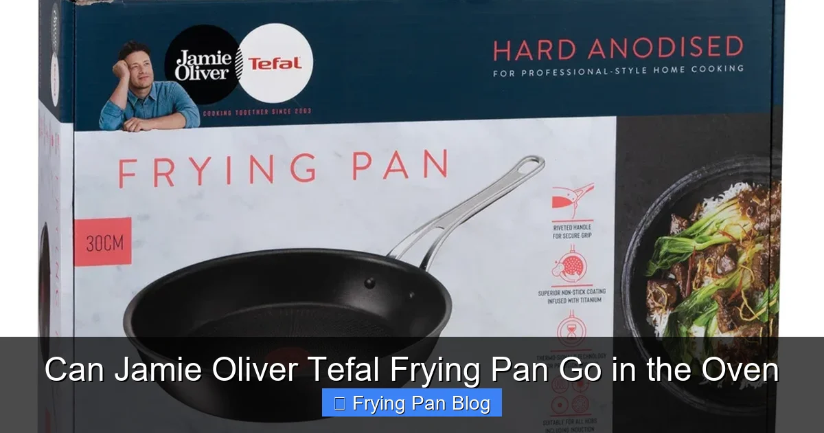 Can Jamie Oliver Tefal Frying Pan Go in the Oven