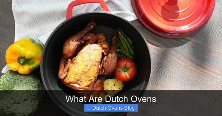 What Are Dutch Ovens