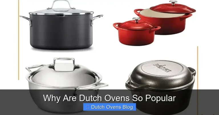 Why Are Dutch Ovens So Popular