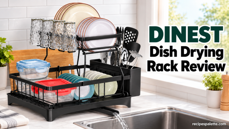 DINEST Dish Drying Rack Review