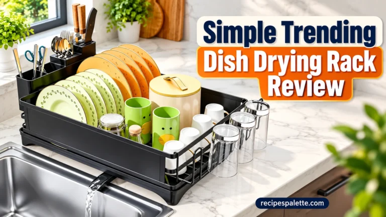 Simple Trending Dish Drying Rack Review