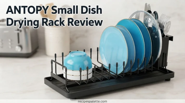 ANTOPY Small Dish Drying Rack Review