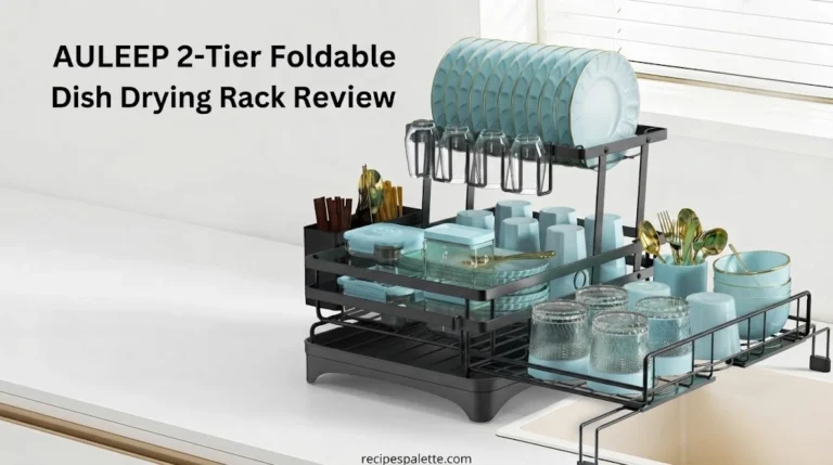 AULEEP 2-Tier Foldable Dish Drying Rack Review