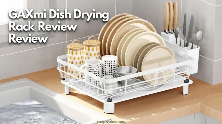 GAXmi Dish Drying Rack Review