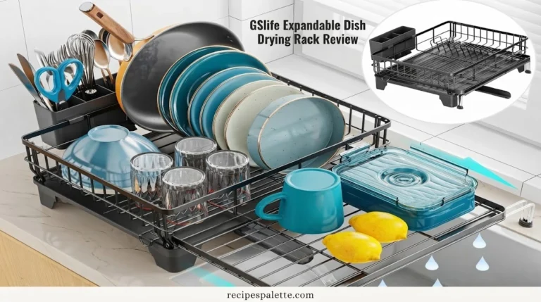 GSlife Expandable Dish Drying Rack Review