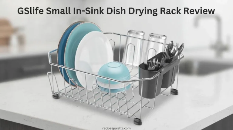 GSlife Small In-Sink Dish Drying Rack Review