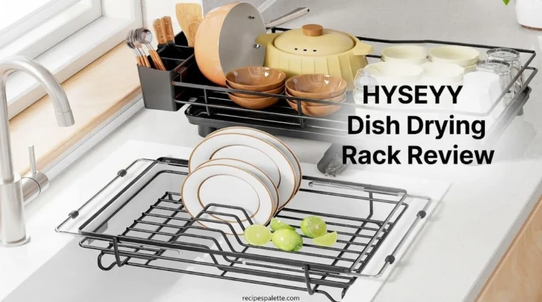 HYSEYY Dish Drying Rack Review