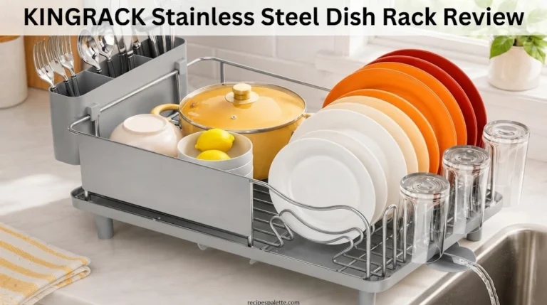 KINGRACK Stainless Steel Dish Rack Review
